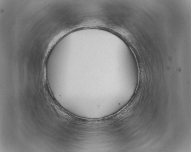 X0000069361366200606091550