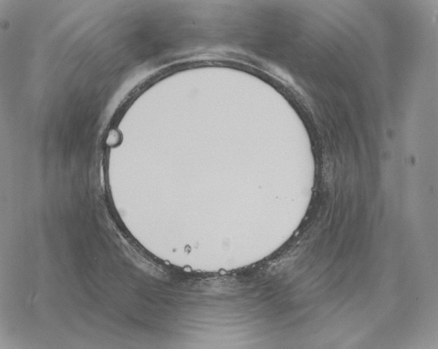 X0000069361368200606091550