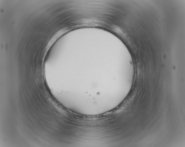 X0000069361370200606091550