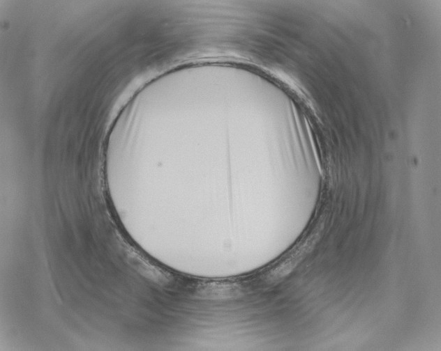 X0000069361374200606091550