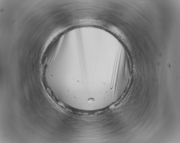 X0000069361376200606091550