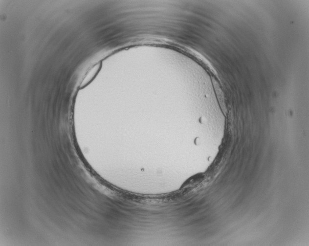 X0000069361379200606091550