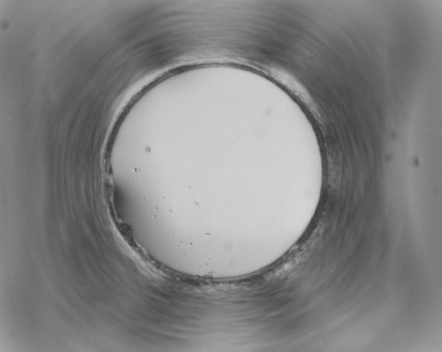 X0000069361380200606091550