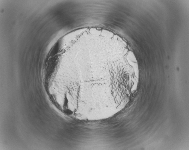 X0000069361383200606091550