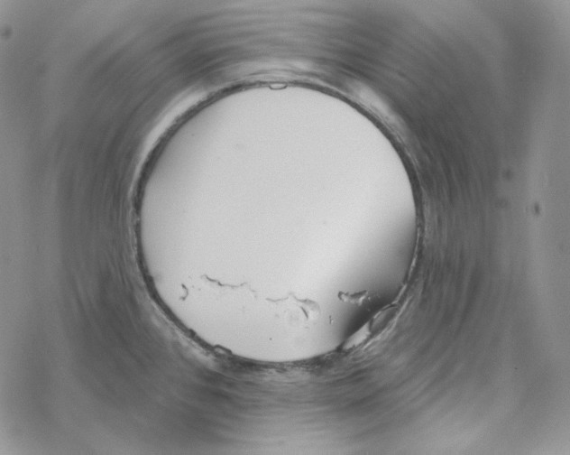 X0000069361384200606091550