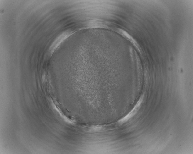 X0000069361385200606091550