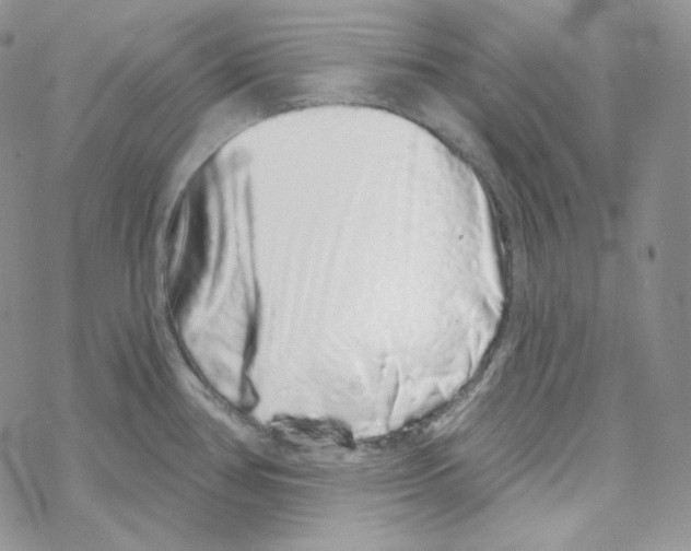 X0000069361386200606091550