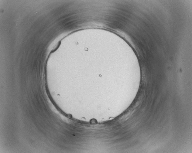 X0000069361387200606091550