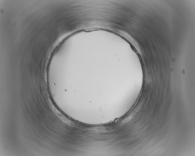 X0000069361388200606091550