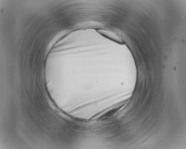 X0000069361390200606091550