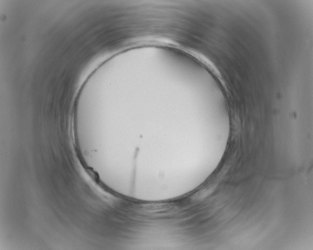 X0000069361391200606091550