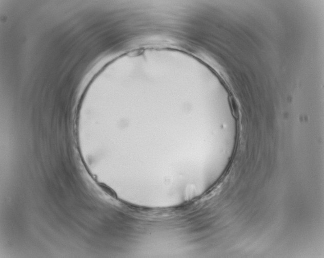 X0000069361392200606091550