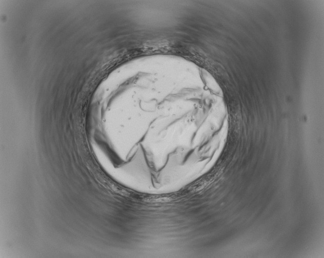 X0000069361393200606091549