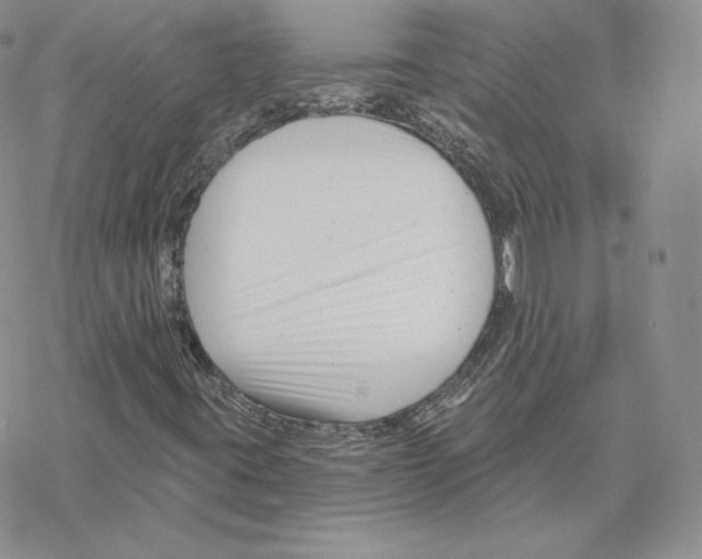 X0000069361395200606091549