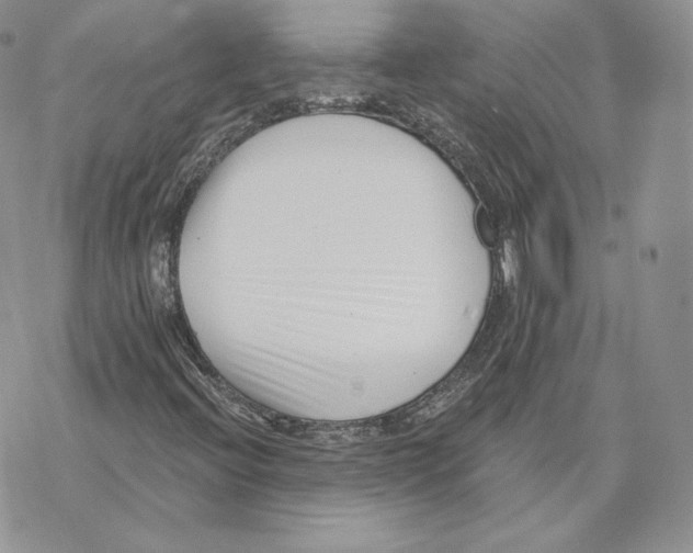 X0000069361396200606091549