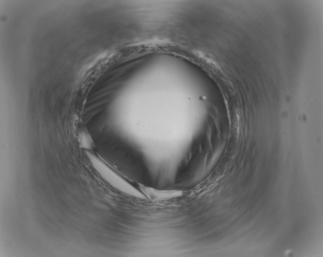 X0000069361398200606091549