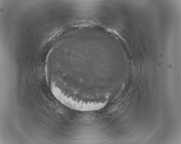 X0000069361399200606091549