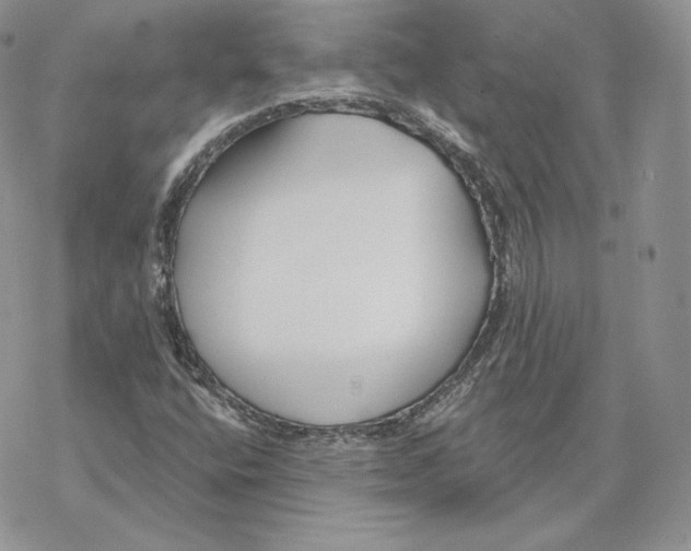 X0000069361400200606091549