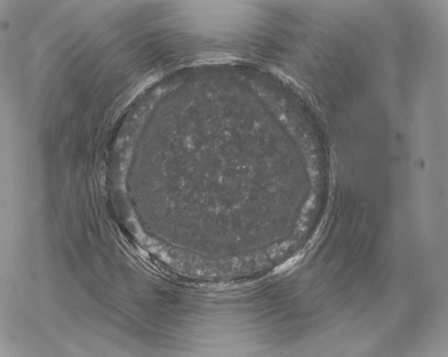 X0000069361401200606091549