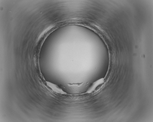 X0000069361402200606091549