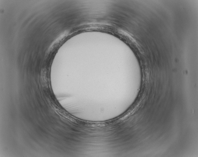 X0000069361403200606091549