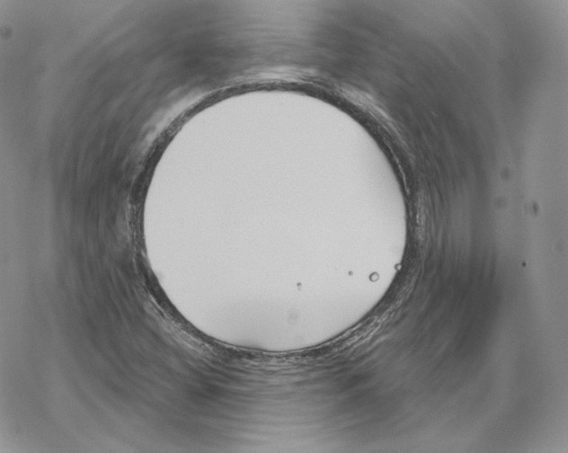 X0000069361404200606091549