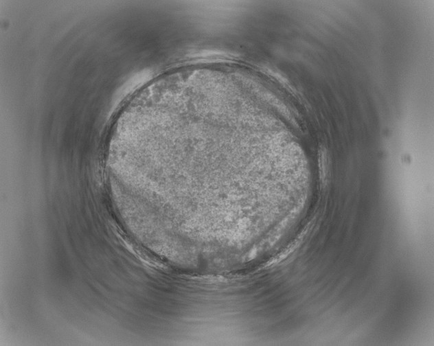 X0000069361405200606091549