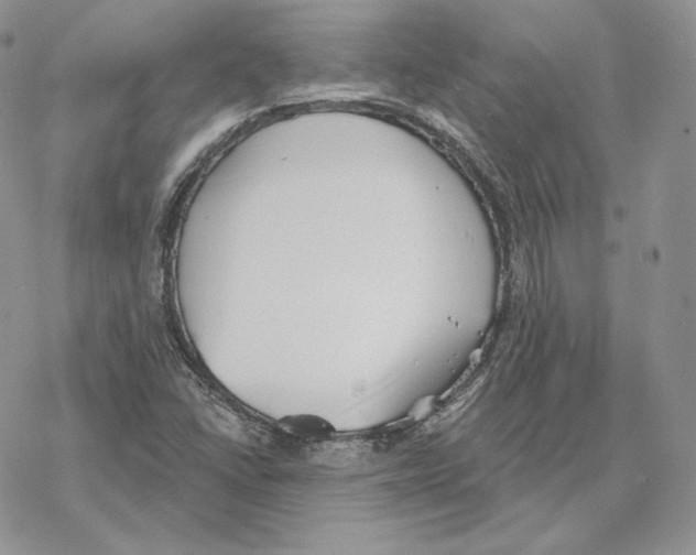 X0000069361406200606091549