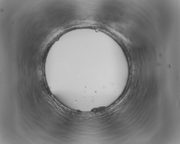 X0000069361407200606091549