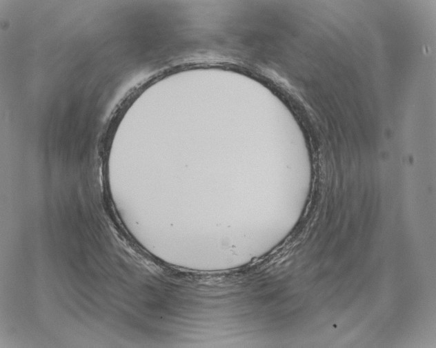 X0000069361408200606091549