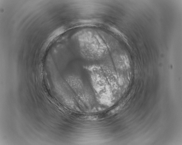 X0000069361411200606091549