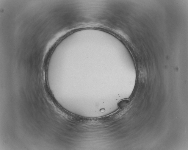 X0000069361414200606091549