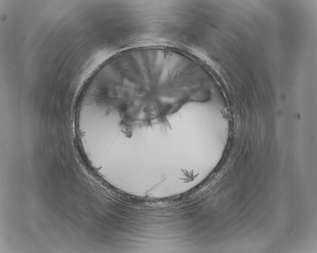 X0000069361415200606091549