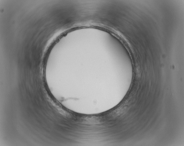 X0000069361416200606091549