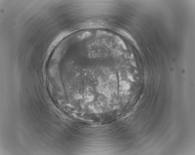 X0000069361419200606091550