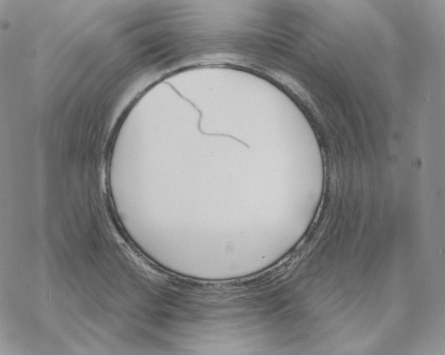 X0000069361420200606091550