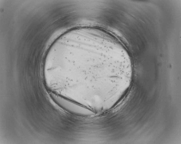 X0000069361421200606091550