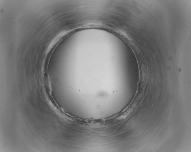 X0000069361422200606091550