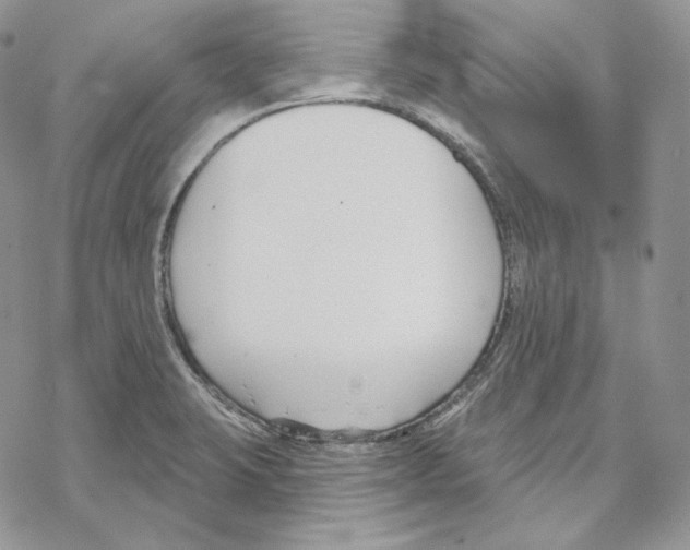 X0000069361423200606091550