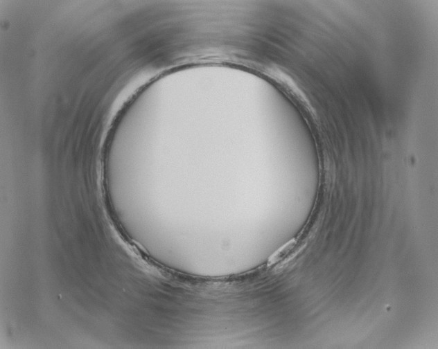 X0000069361424200606091550