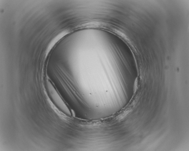 X0000069361426200606091550