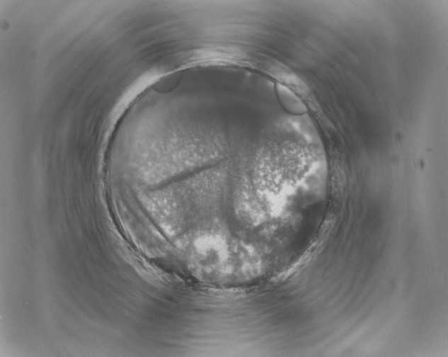 X0000069361427200606091550