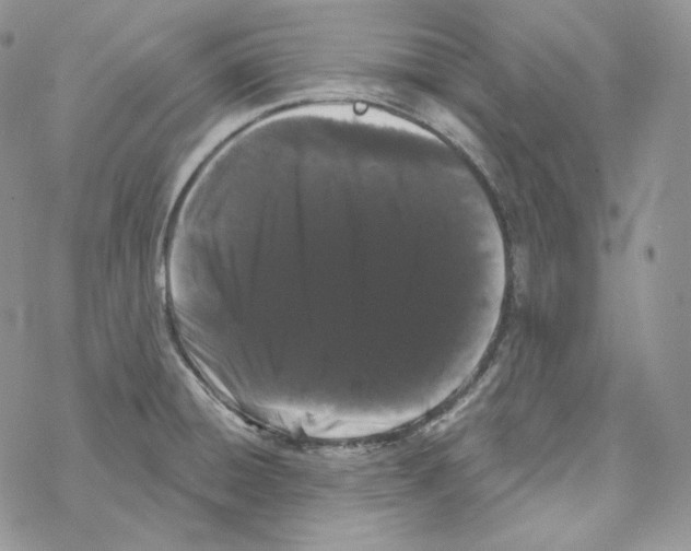 X0000069361428200606091550