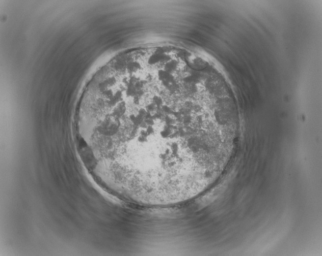 X0000069361429200606091550