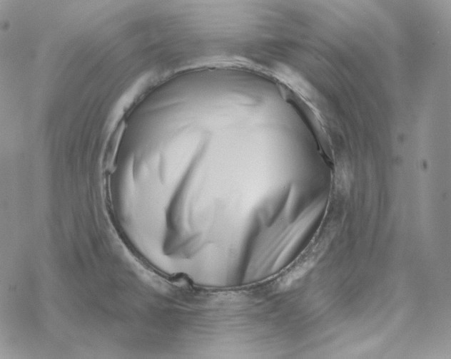 X0000069361430200606091550