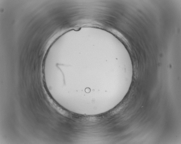 X0000069361431200606091550