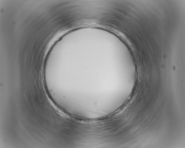 X0000069361432200606091550