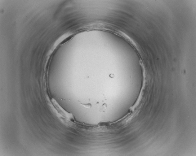 X0000069361434200606091550