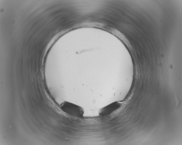 X0000069361436200606091550