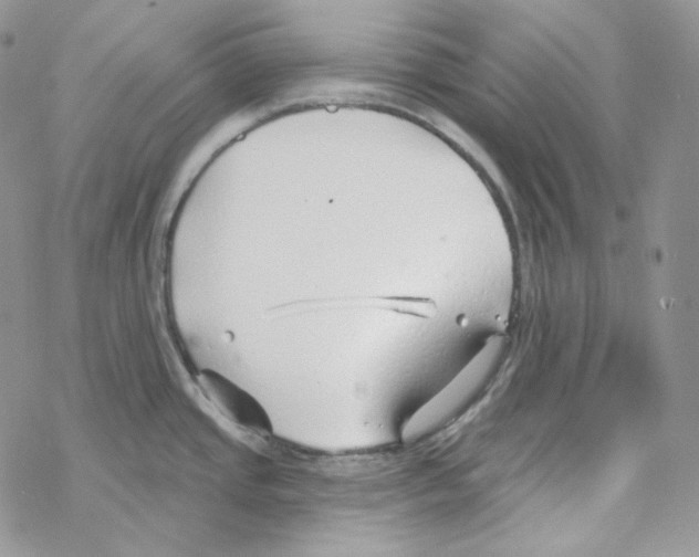 X0000069361437200606091550